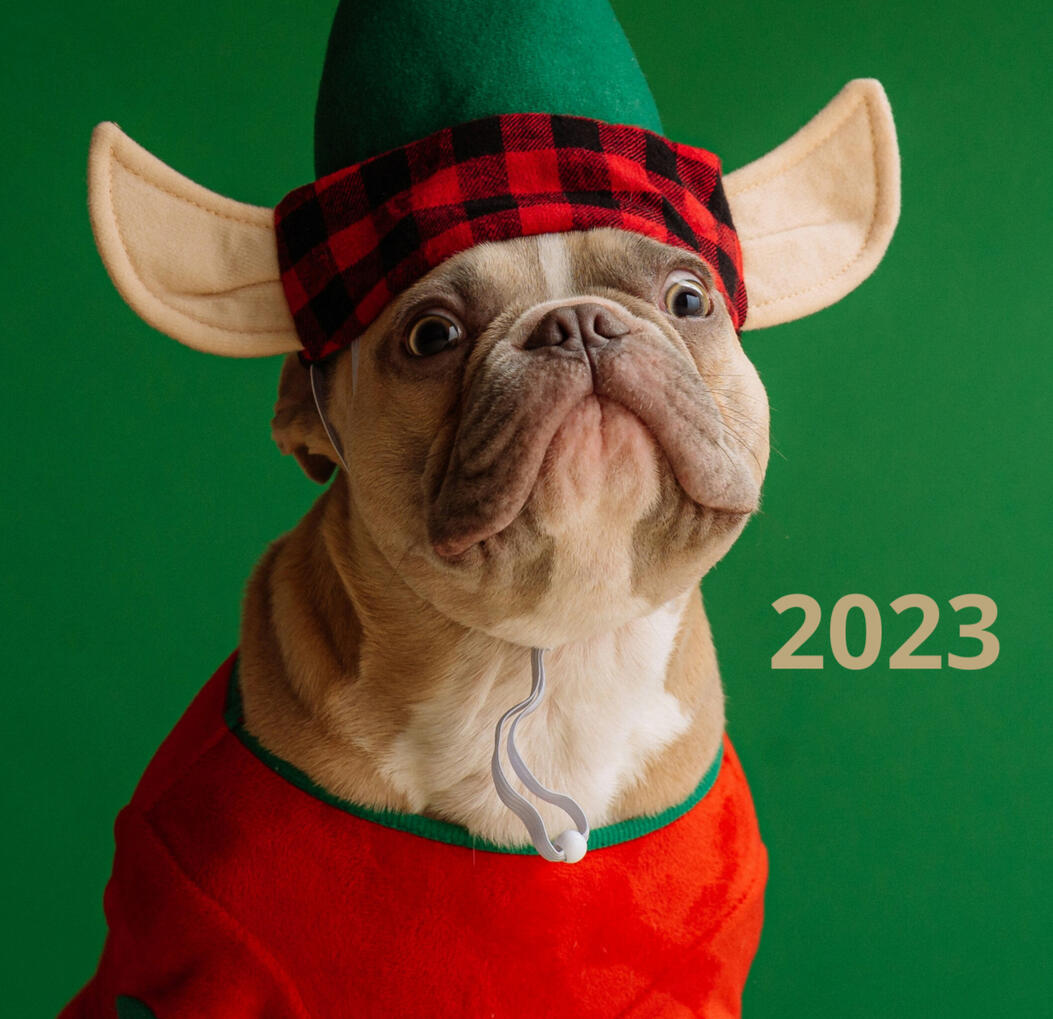 Calendrier de l'avent du produit 2023